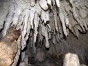 Cova del Pi - صورة مصغرة 5, Ulldecona