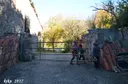 Cova Savarneda - Miniatura 3, Soriguera