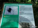 Cova del Petitot - Thumbnail 1, Pradell de la Teixeta
