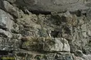 Cova de Mas Vilar - Miniatura 2, Santa Maria de Miralles