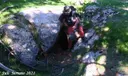 Cova del Camallero - Miniatura 2, Castellar del Riu