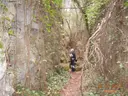 Avenc del Tall - Miniatura 1, Esponellà