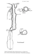 Avenc de l'Esquerrà - Miniatura 1, Olesa de Bonesvalls