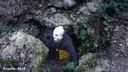 Cova de la Font de Sant Llorenç - Miniatura 5, Santa Margarida i els Monjos