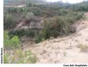Cova dels Hospitalets - Miniatura 1, Cervià de les Garrigues