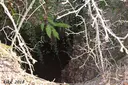 Forat dels Llops - Miniatura 4, Susqueda