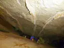 Cova de la Dou - Miniatura 3, Arbolí