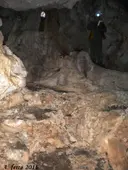 Cova del Manyé - Thumbnail 4, Bisbal del Penedès, La