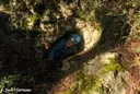 Cova-avenc del Mas d'en Toni - Miniatura 2, Mont-ral