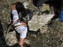 Avenc dels Científics - Miniatura 2, Arnes