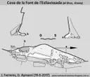 Cova de la Font de l'esllavissada - Miniatura 2, Bruc, El