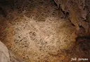 Cova de la Calavera - Thumbnail 13, Mont-ral