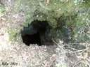 Avenc de l'Ivan - Thumbnail 2, Gelida