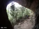 Cova dels Coloms de Baix - Miniatura 6, Febró, La