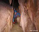 Cova-avenc del Mas d'en Toni - Miniatura 11, Mont-ral