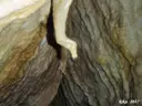 Avenc dels Pinyerets - Miniatura 10, Montmell, El
