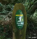 Balma de la Font del Bassi - Miniatura 1, Febró, La