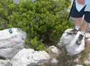 Avenc Sm-5 del Serrat de la Morella - Miniatura 2, Begues