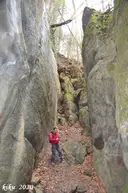 Avencs del Tim I dels Tigres - Miniatura 2, Santa Maria de Besora