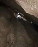 Pou de la Portella - Miniatura 4, Bruc, El