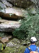 Surgència del Molinet - Thumbnail 1, Capafonts