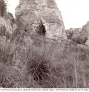 Cova de les Agulles - Миниатюра 3, Begues