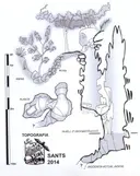 Avenc Petit del Gravat - Miniatura 2, Begues