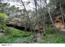 Coves del Pascol - Thumbnail 1, Castellví de la Marca