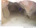 Cova del Toixó - Miniatura 3, Sant Quintí de Mediona