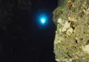 Cova de Trencabraços - Thumbnail 2, Escala, L'
