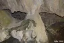 Cova Nº5 de l'Escudelleta - Miniatura 5, Capafonts