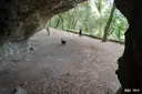 Balma de la Baronessa - Miniatura 5, Tavèrnoles