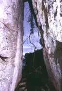 Cova de la Cabrafiga - Miniatura 2, Sant Llorenç Savall