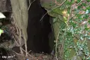 Forat del Far - صورة مصغرة 2, Susqueda