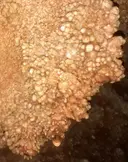 Cova Dolça de Maricel - Miniatura 6, Sitges