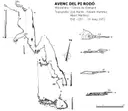 Avenc del Pi Rodó - Miniatura 1, Montblanc