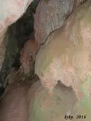 Cova del Bac - Miniatura 6, Figaró-Montmany