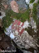 Avenc Pei - Thumbnail 4, Vallirana