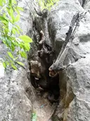 Cova de l'Endal - Thumbnail 2, Gallifa