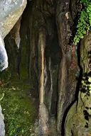 Cova del Molí Bernat - Thumbnail 5, Tavertet