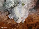 Font del Càntir - Thumbnail 3, Rellinars