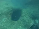 Cova Submarina de la Punta Grossa - صورة مصغرة 1, Escala, L'