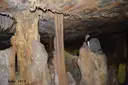 Cova Bonica - Miniatura 13, Alcanar