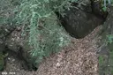 Avenc de Can Roca Roja Nº2 - Miniatura 1, Sant Feliu de Pallerols