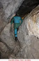 Cova dels Voliacs - Thumbnail 4, Organyà