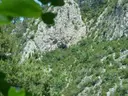 Balma Amagada del Saüc - Miniatura 1, Urús