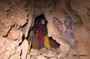 Avenc dels Ametllers - Miniatura 7, Pratdip