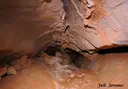 Cau Gran de la Carnisseria - Miniatura 7, Torroella de Montgrí