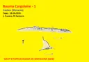 Baumes del Cargolaire - Miniatura 1, Calders