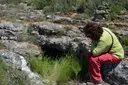 Baborell d'en Remigio - Miniatura 2, Alòs de Balaguer